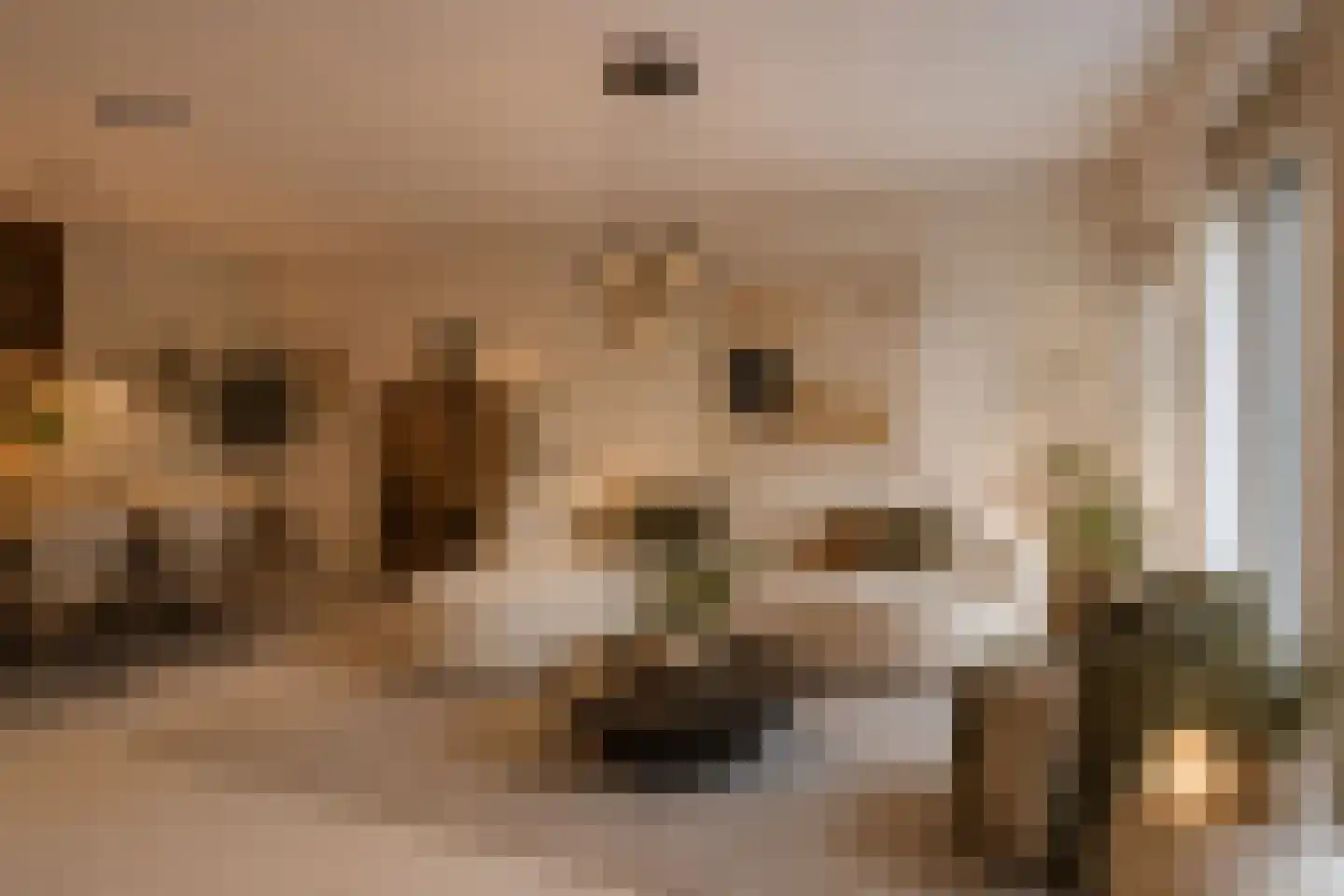 Rhenendael 76 Rhenen thumbnail 4