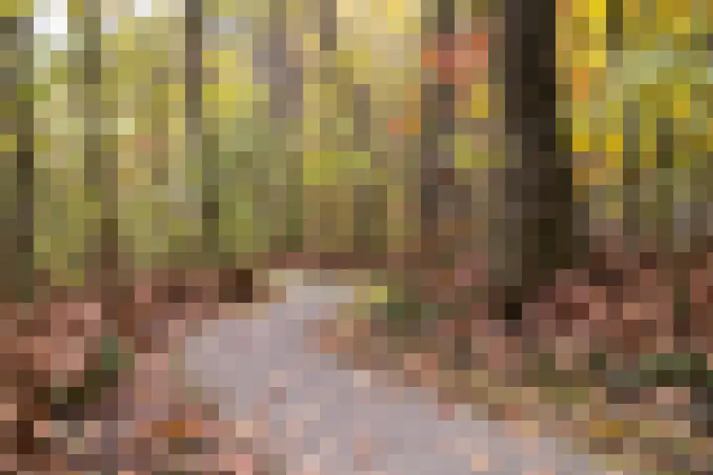 Rhenendael 76 Rhenen thumbnail 40