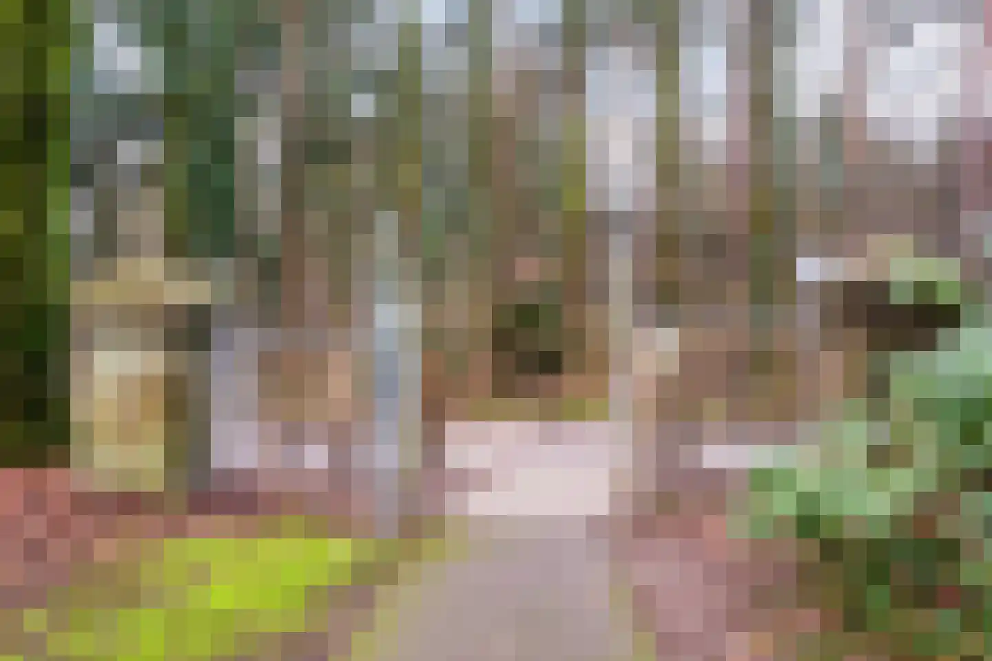 Rhenendael 76 Rhenen thumbnail 41