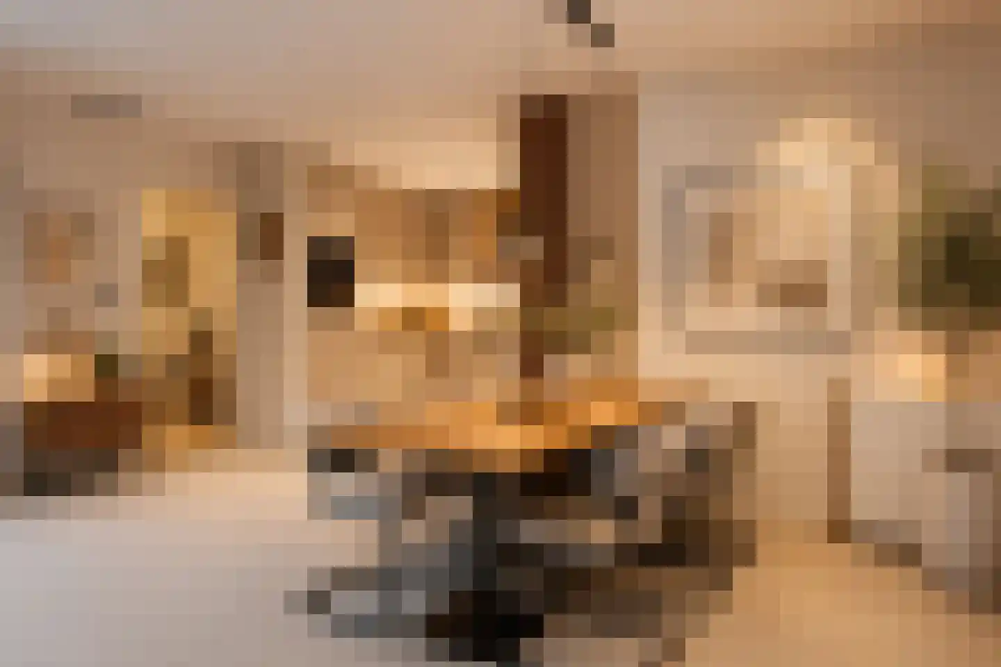 Rhenendael 76 Rhenen thumbnail 5