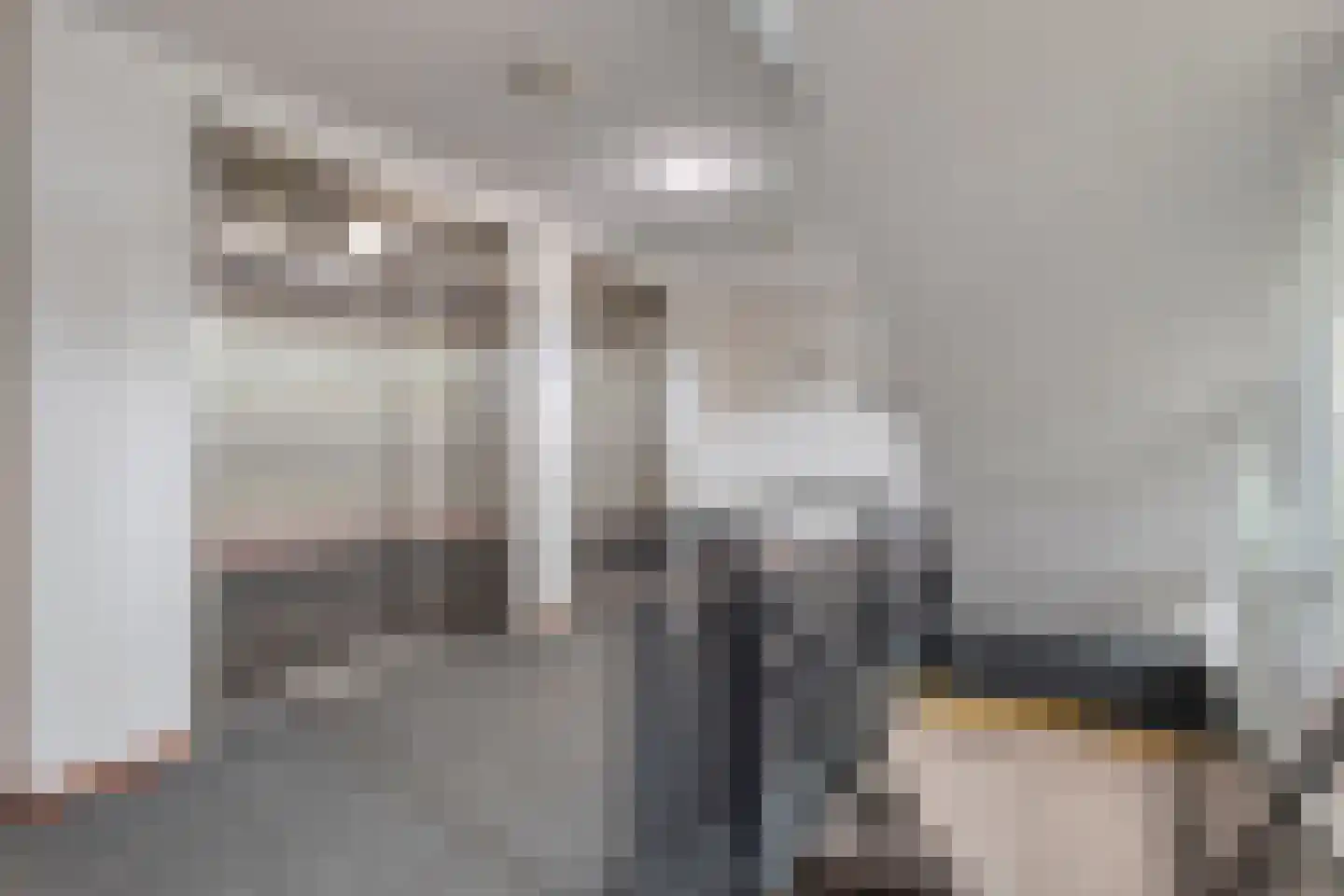 Rhenendael 76 Rhenen thumbnail 6