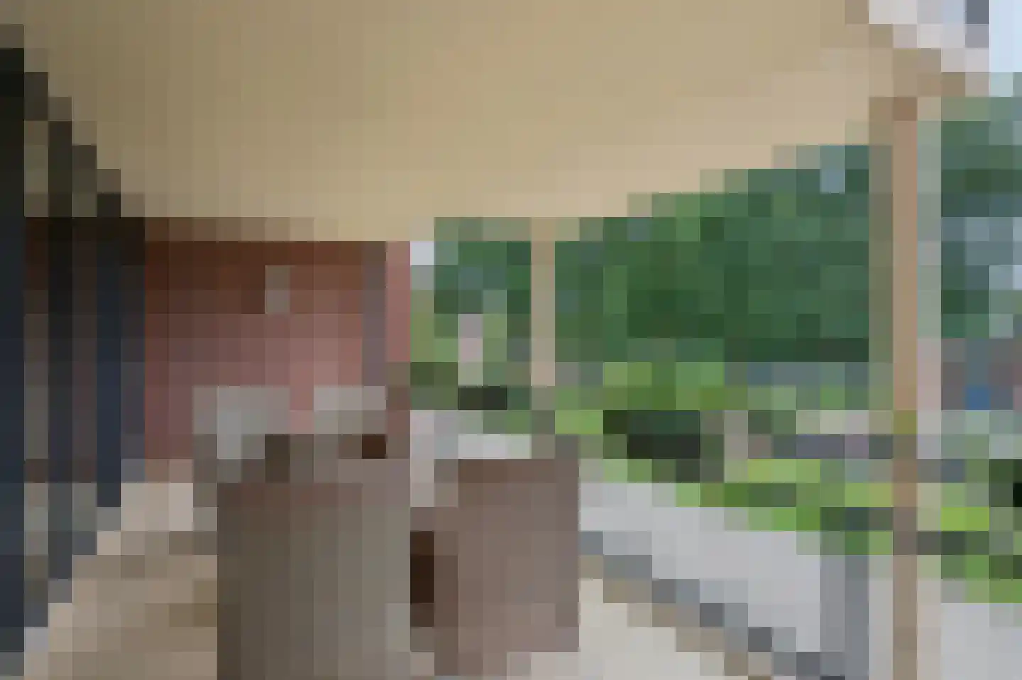 Rhenendael 85 Rhenen thumbnail 13