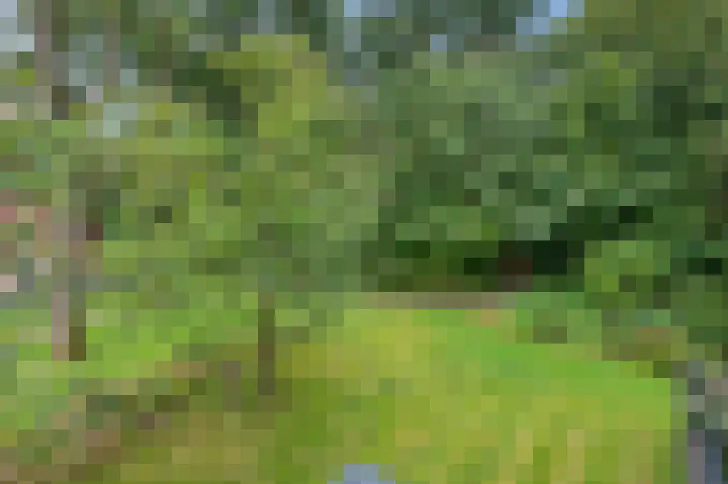 Rhenendael 85 Rhenen thumbnail 38