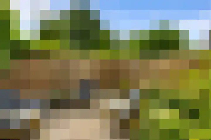 Rhenenhof 24 Amsterdam thumbnail 11