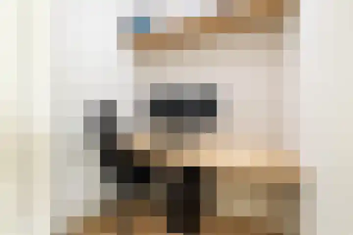 Rhenenhof 24 Amsterdam thumbnail 13