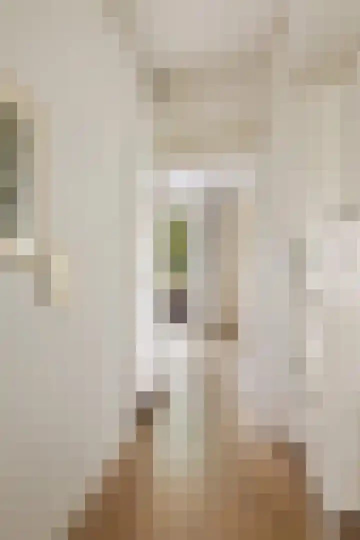 Rhenenhof 24 Amsterdam thumbnail 15