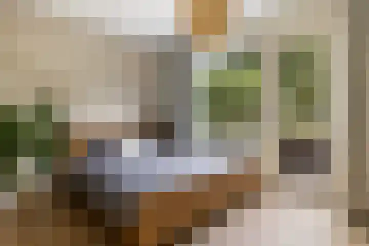 Rhenenhof 24 Amsterdam thumbnail 17