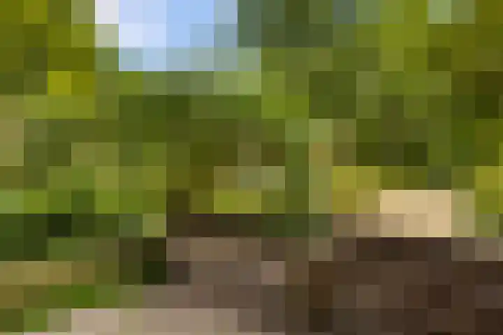 Rhenenhof 24 Amsterdam thumbnail 18