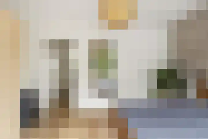 Rhenenhof 24 Amsterdam thumbnail 20