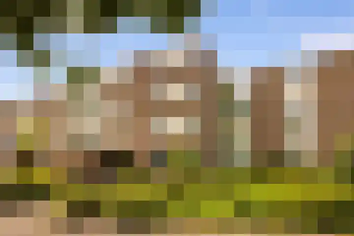 Rhenenhof 24 Amsterdam thumbnail 23