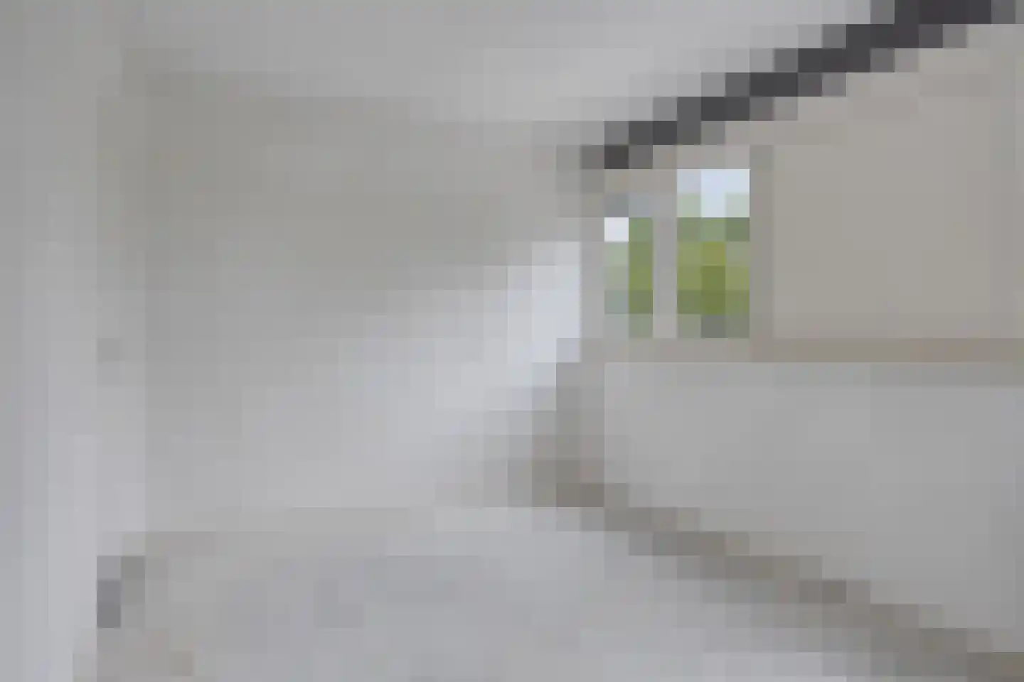 Rhenenhof 43 Amsterdam thumbnail 13