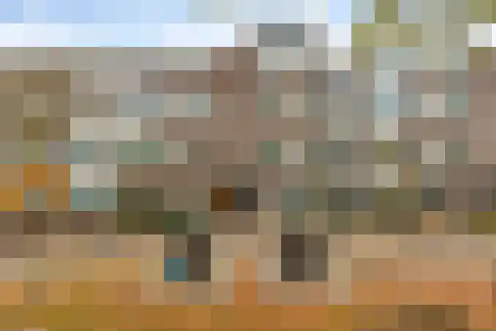 Rhenenhof 56 Amsterdam thumbnail 10