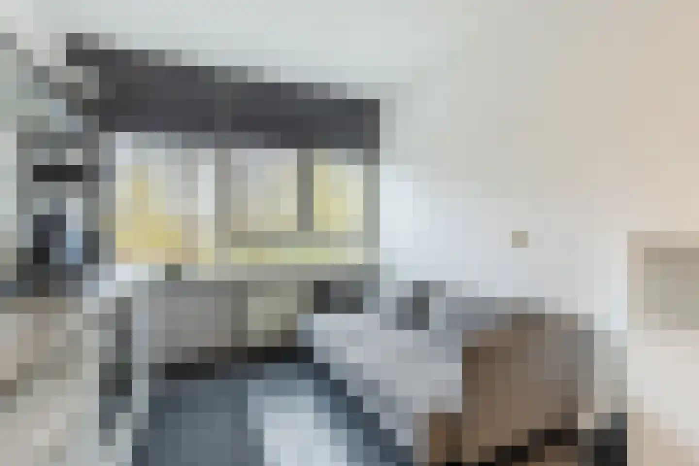 Rhenenhof 96 Amsterdam thumbnail 18