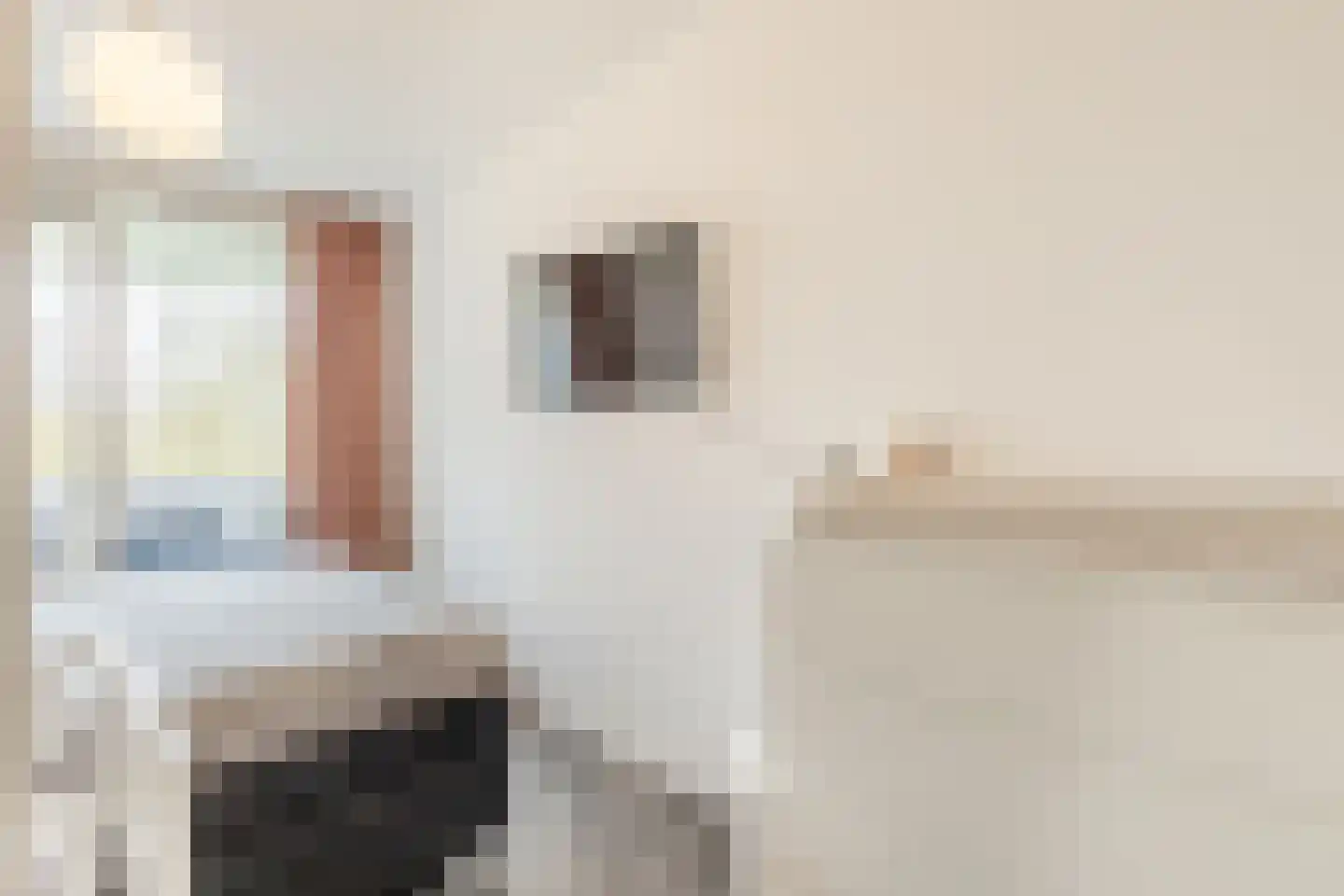 Rhenenhof 96 Amsterdam thumbnail 22
