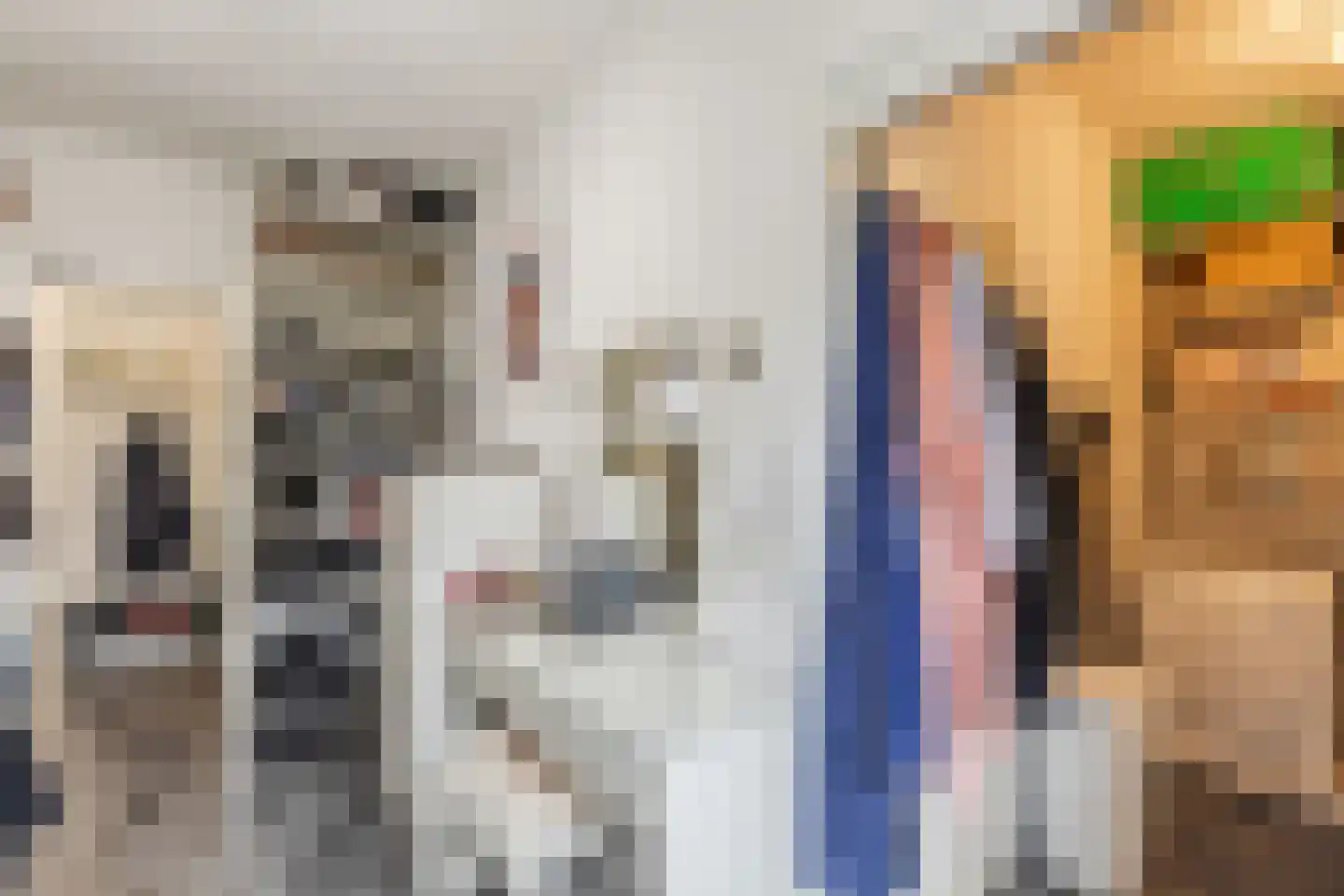 Rhenenhof 96 Amsterdam thumbnail 27