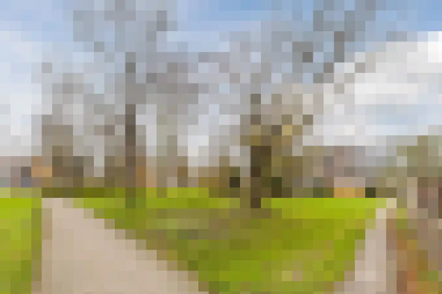 Rhenenhof 96 Amsterdam thumbnail 36