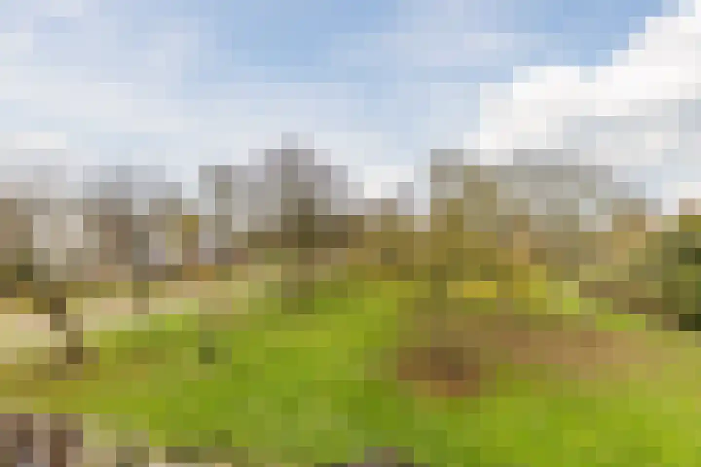 Rhenenhof 96 Amsterdam thumbnail 38