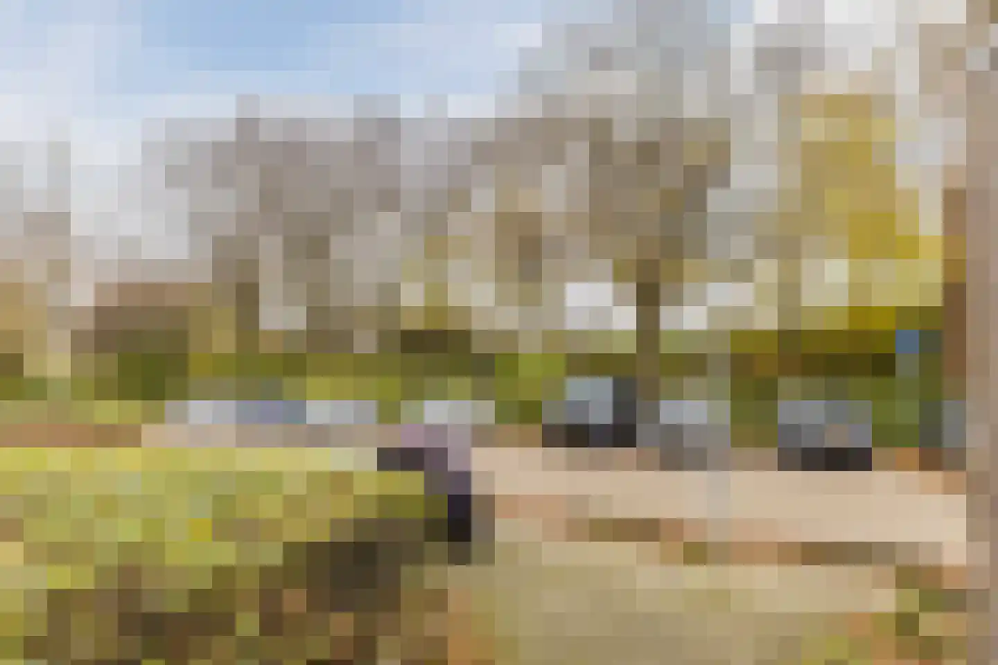 Rhenenhof 96 Amsterdam thumbnail 6