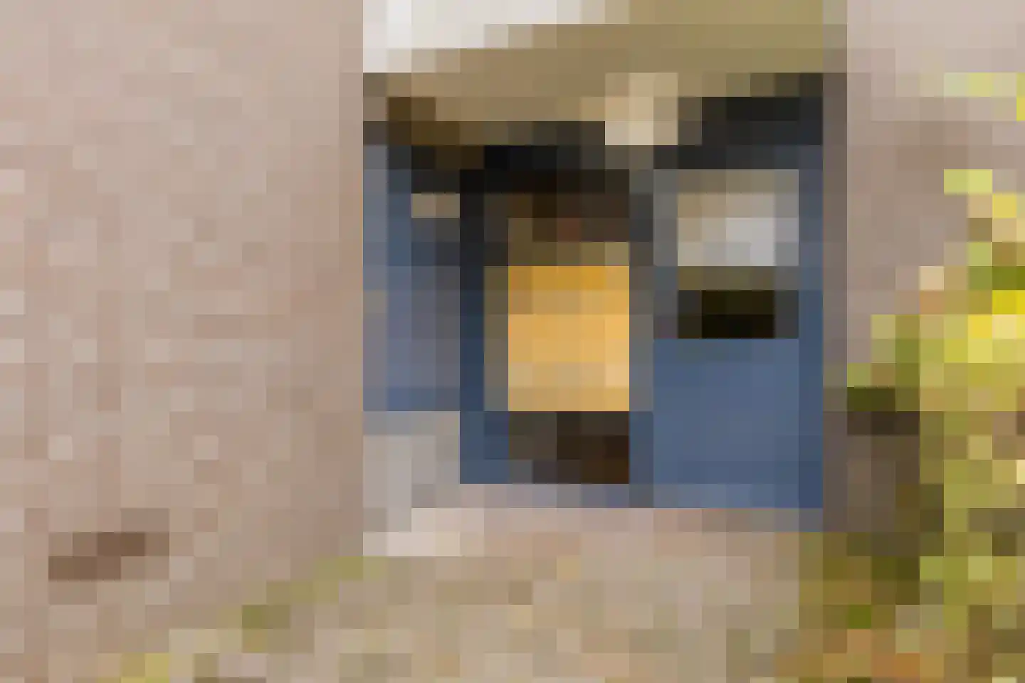 Rhenenhof 96 Amsterdam thumbnail 7