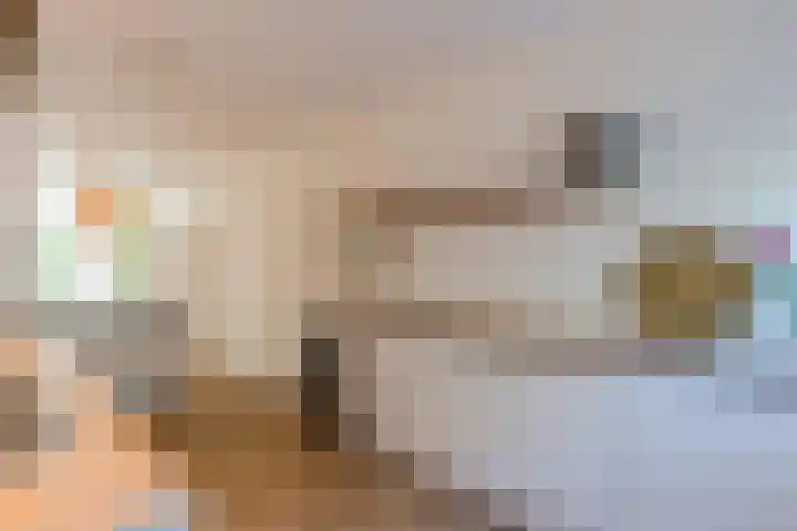 Rhenenhof 98 Amsterdam thumbnail 11