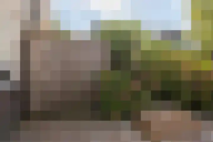 Rhenenhof 98 Amsterdam thumbnail 28