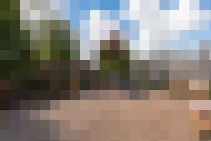 Rhenenhof 98 Amsterdam thumbnail 29