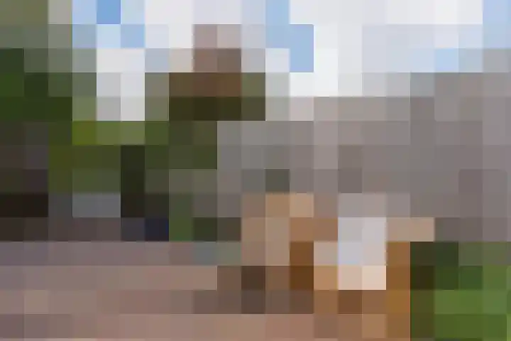 Rhenenhof 98 Amsterdam thumbnail 30