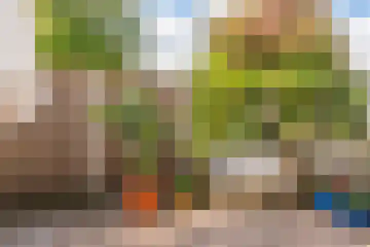 Rhenenhof 98 Amsterdam thumbnail 31