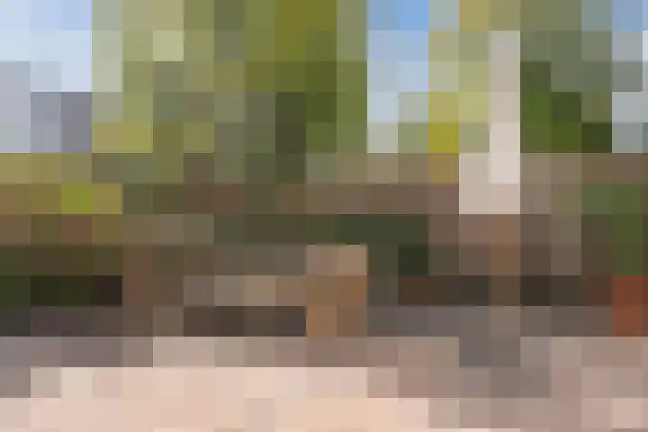Rhenenhof 98 Amsterdam thumbnail 32