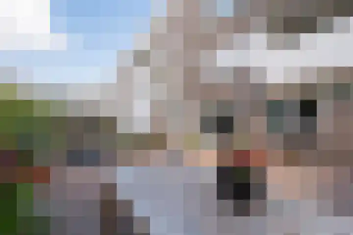 Rhenenhof 98 Amsterdam thumbnail 33