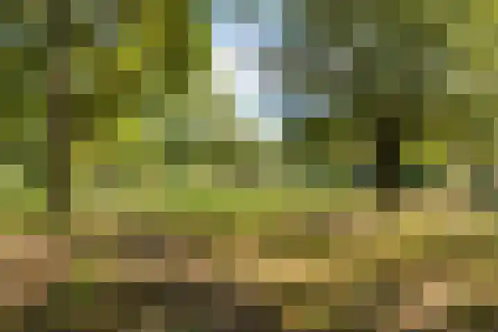 Rhenenhof 98 Amsterdam thumbnail 38