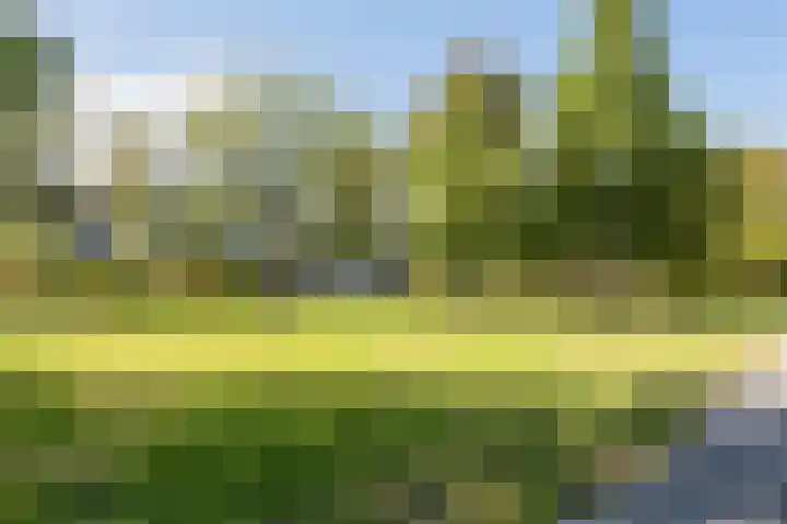 Rhenenhof 98 Amsterdam thumbnail 39