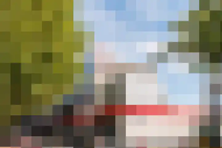 Rhenenhof 98 Amsterdam thumbnail 40