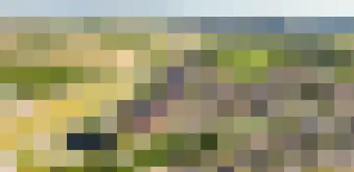 Rhenenseweg 14 Kesteren thumbnail 5