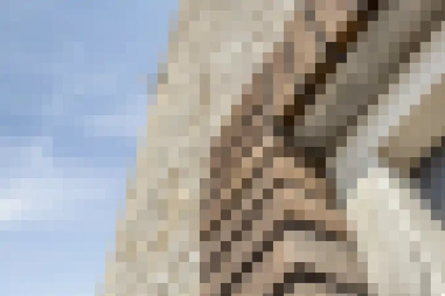 Rhenenseweg 4 Kesteren thumbnail 9