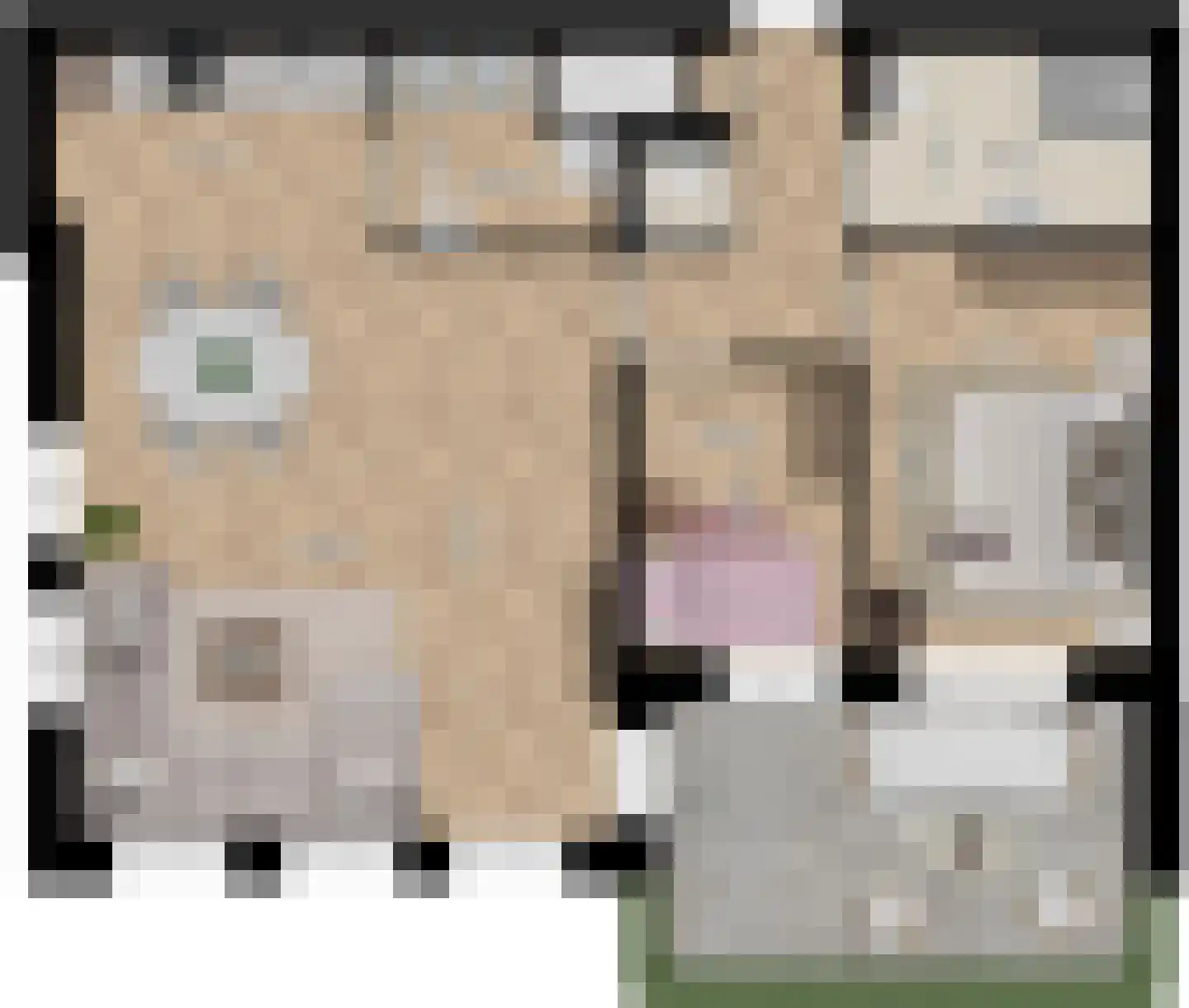 Rhenenseweg 8 Kesteren thumbnail 4