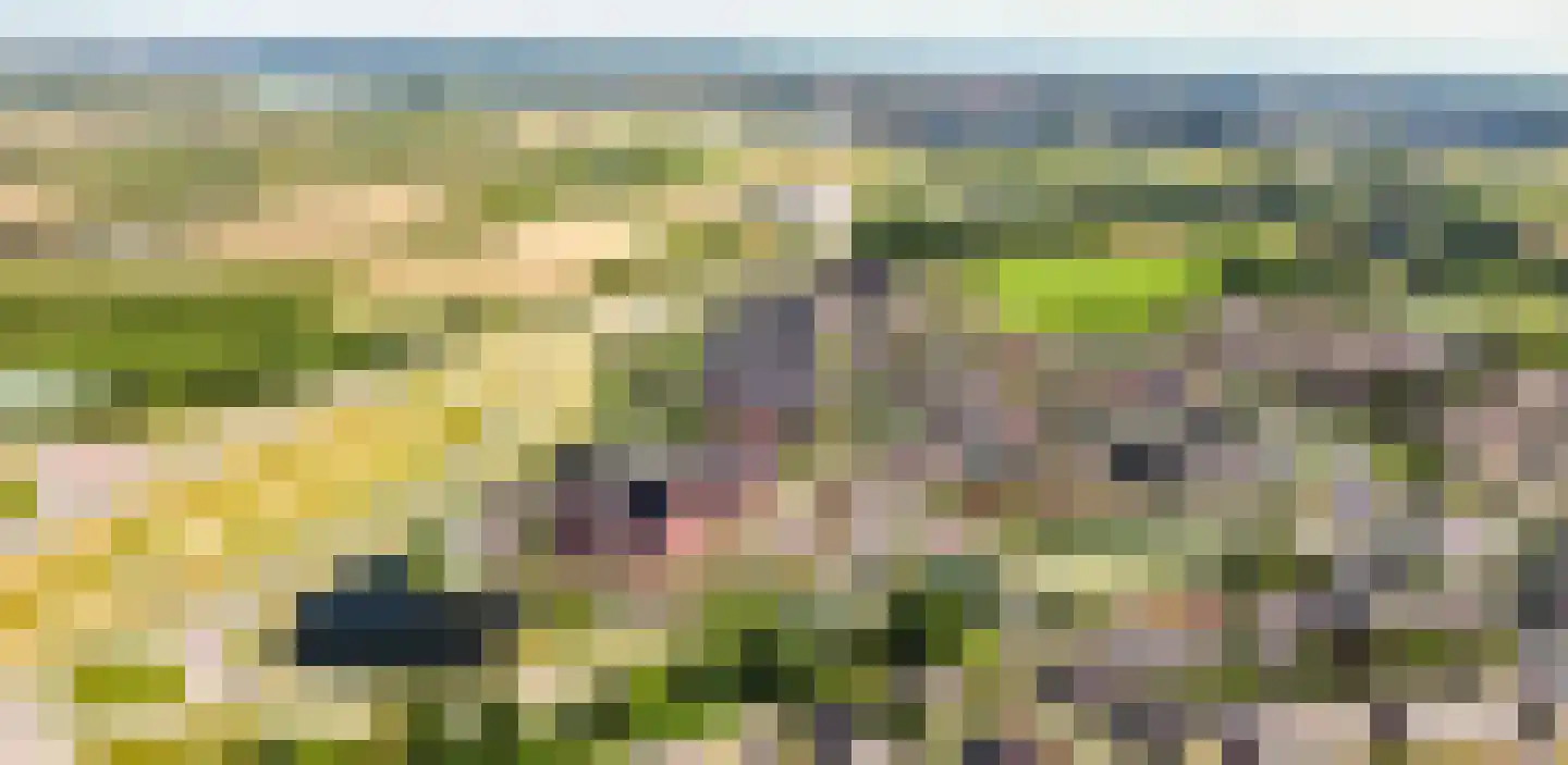 Rhenenseweg 8 Kesteren thumbnail 5
