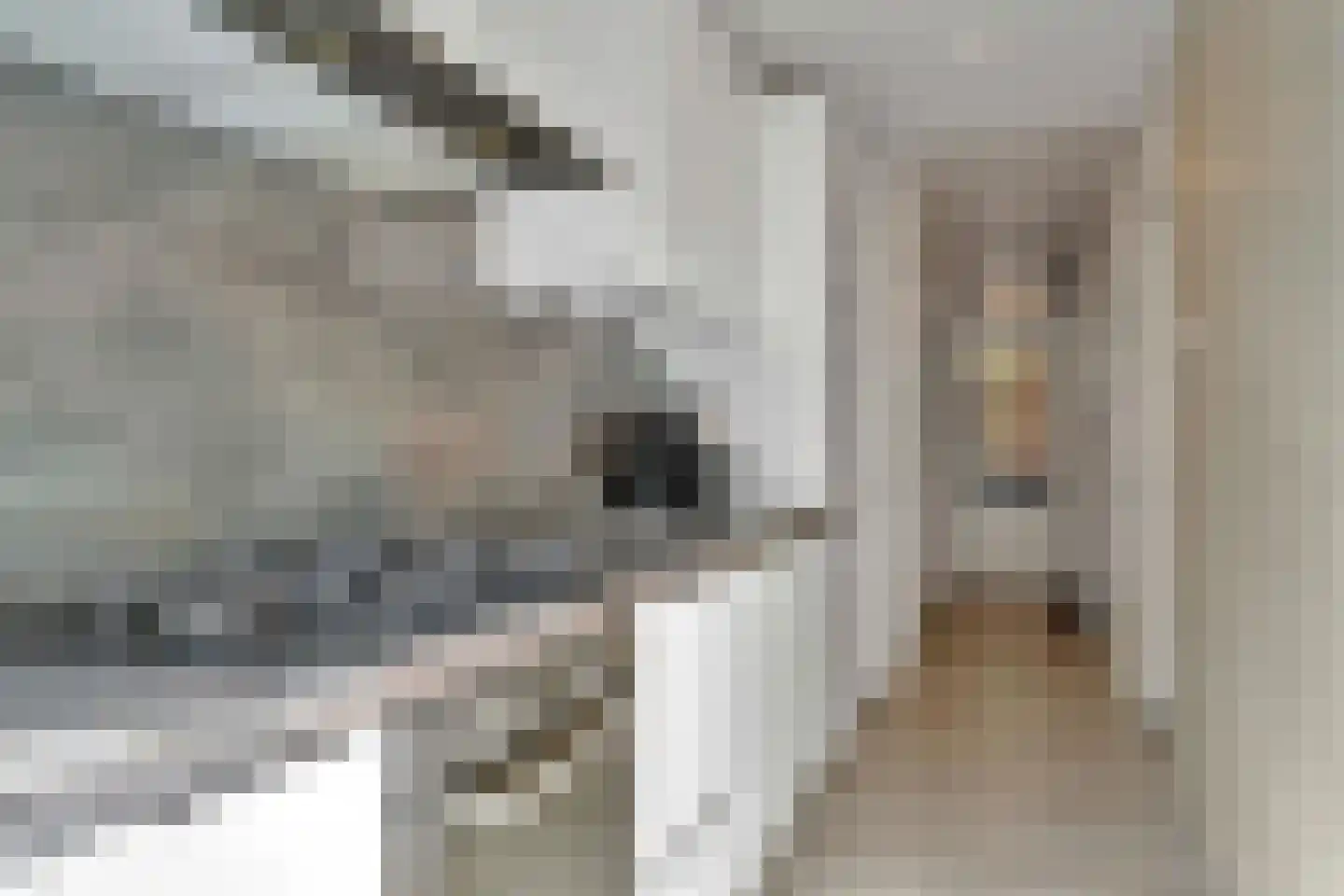 Rhenenstraat 210 Den Haag thumbnail 4