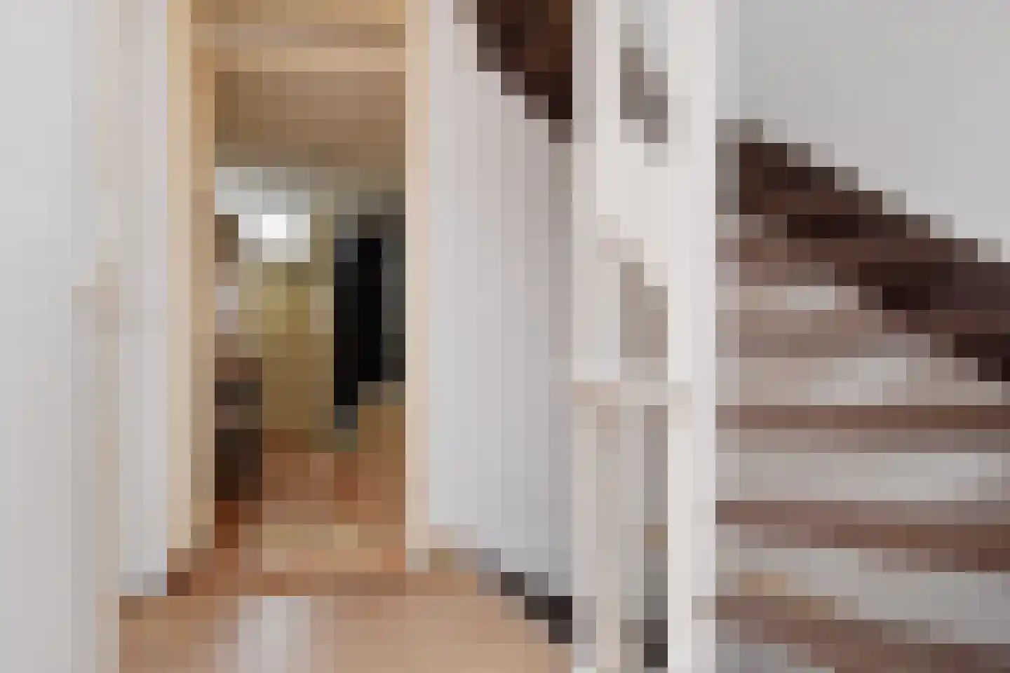 Rhenenstraat 83 Den Haag thumbnail 17