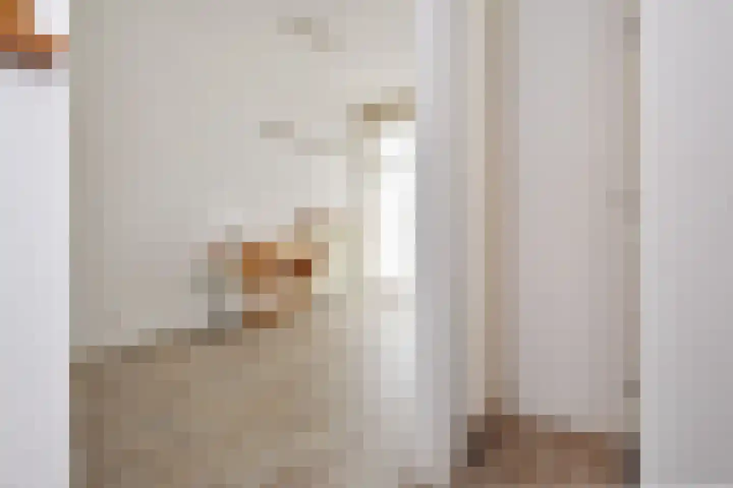 Rhenenstraat 83 Den Haag thumbnail 6