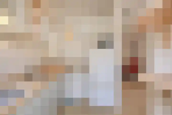 Rhenenstraat 94 Den Haag thumbnail 7