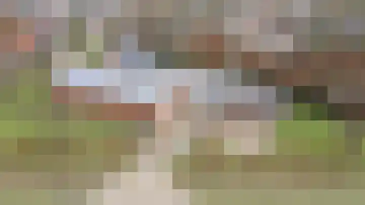 Rhenoyseweg 9 Rhenoy thumbnail 10