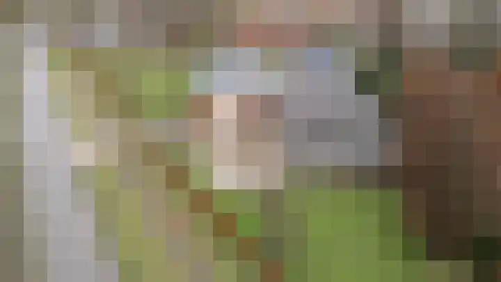 Rhenoyseweg 9 Rhenoy thumbnail 11