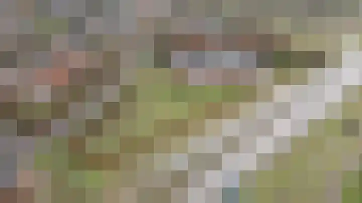 Rhenoyseweg 9 Rhenoy thumbnail 12
