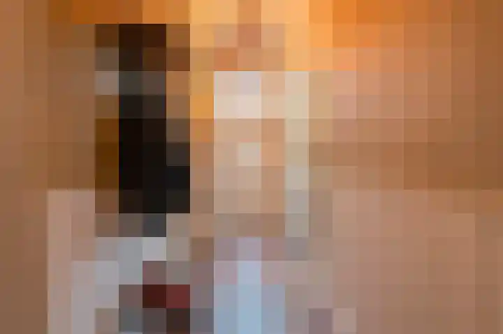Rhenoyseweg 9 Rhenoy thumbnail 13