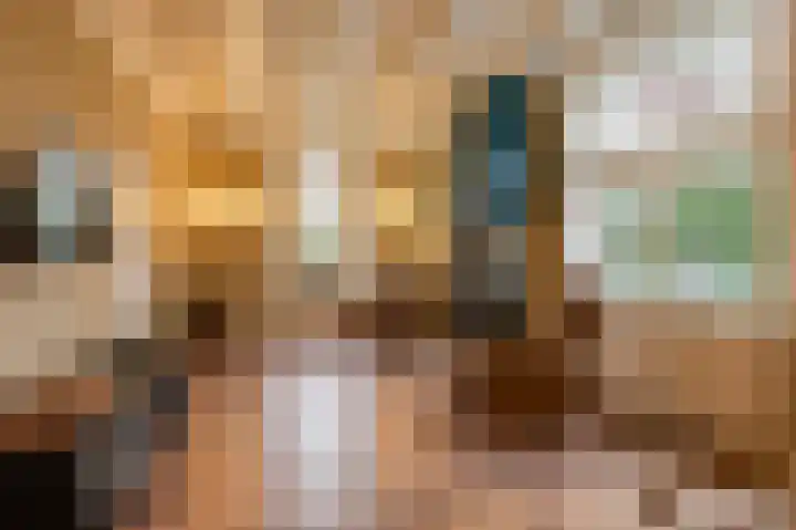 Rhenoyseweg 9 Rhenoy thumbnail 14