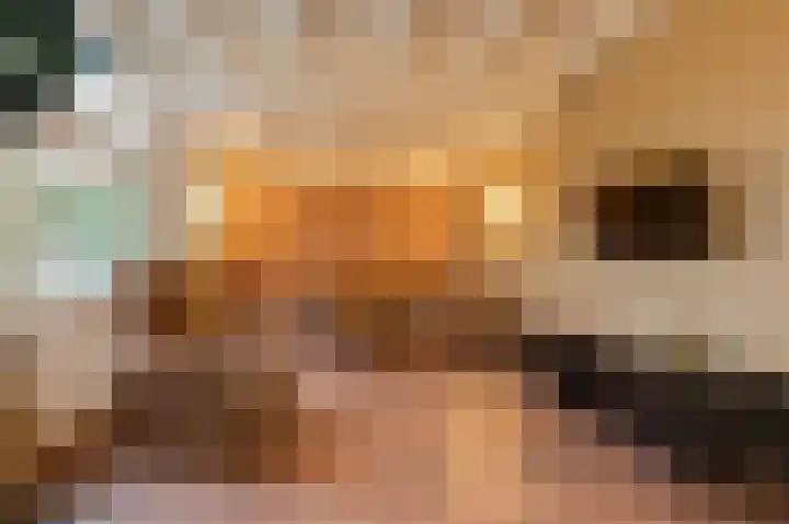 Rhenoyseweg 9 Rhenoy thumbnail 16