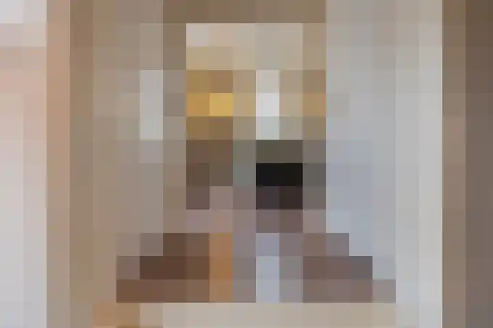 Rhenoyseweg 9 Rhenoy thumbnail 21