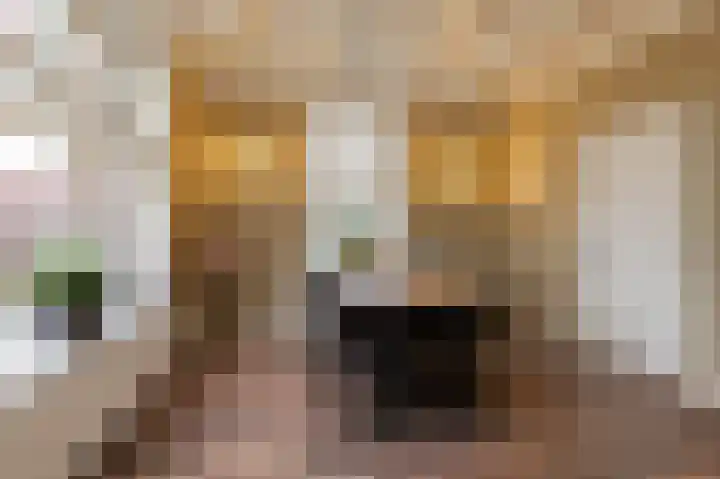 Rhenoyseweg 9 Rhenoy thumbnail 22