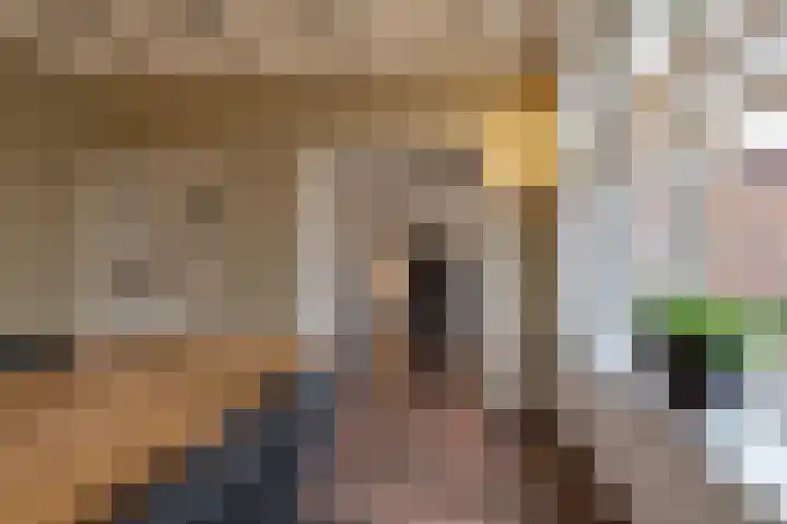 Rhenoyseweg 9 Rhenoy thumbnail 23